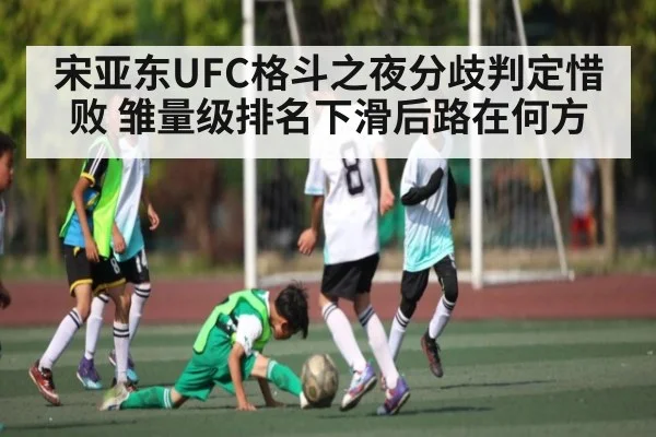 宋亚东UFC格斗之夜分歧判定惜败 雏量级排名下滑后路在何方 - kaiyun
